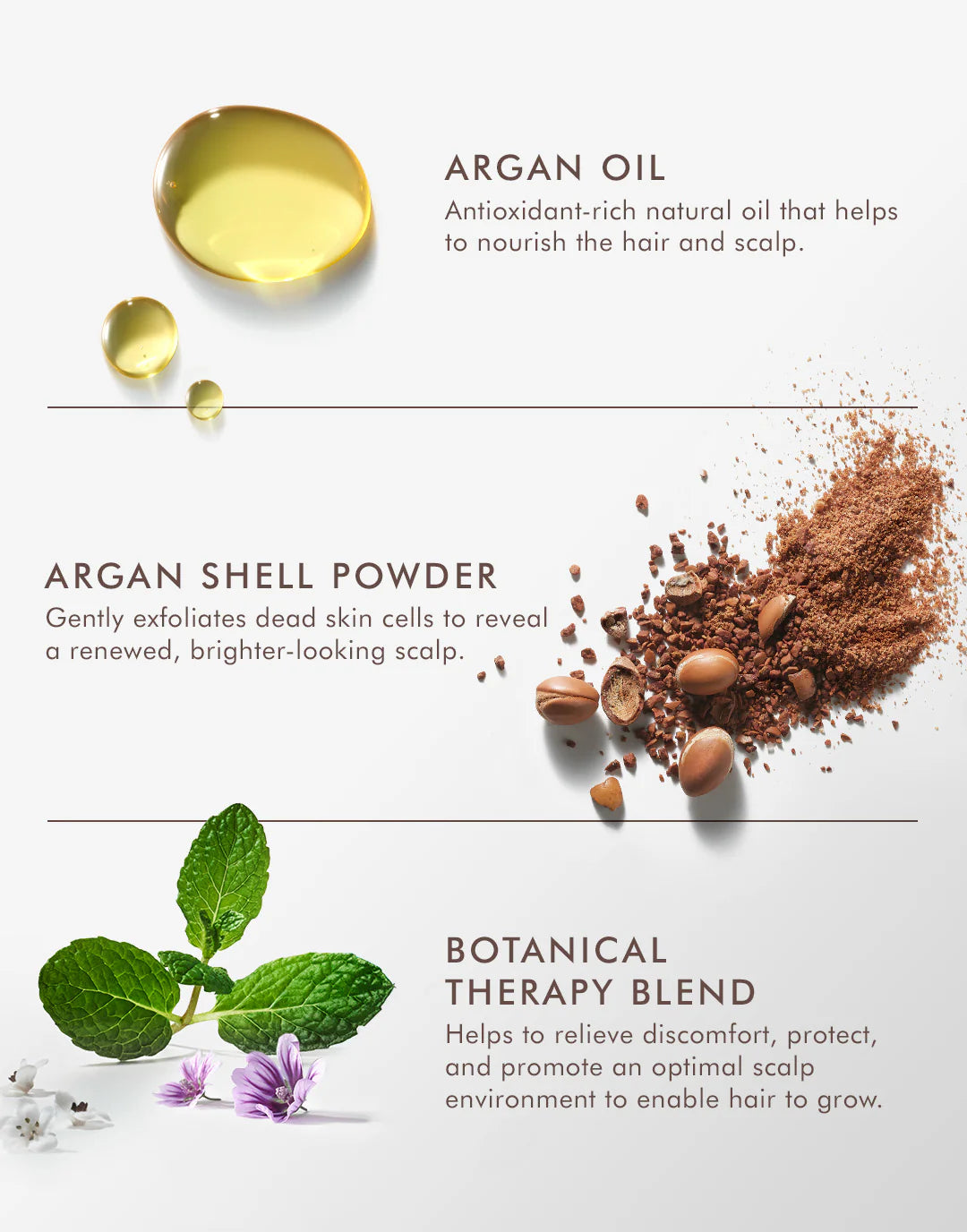 Moroccan Oil Purifying Scrub