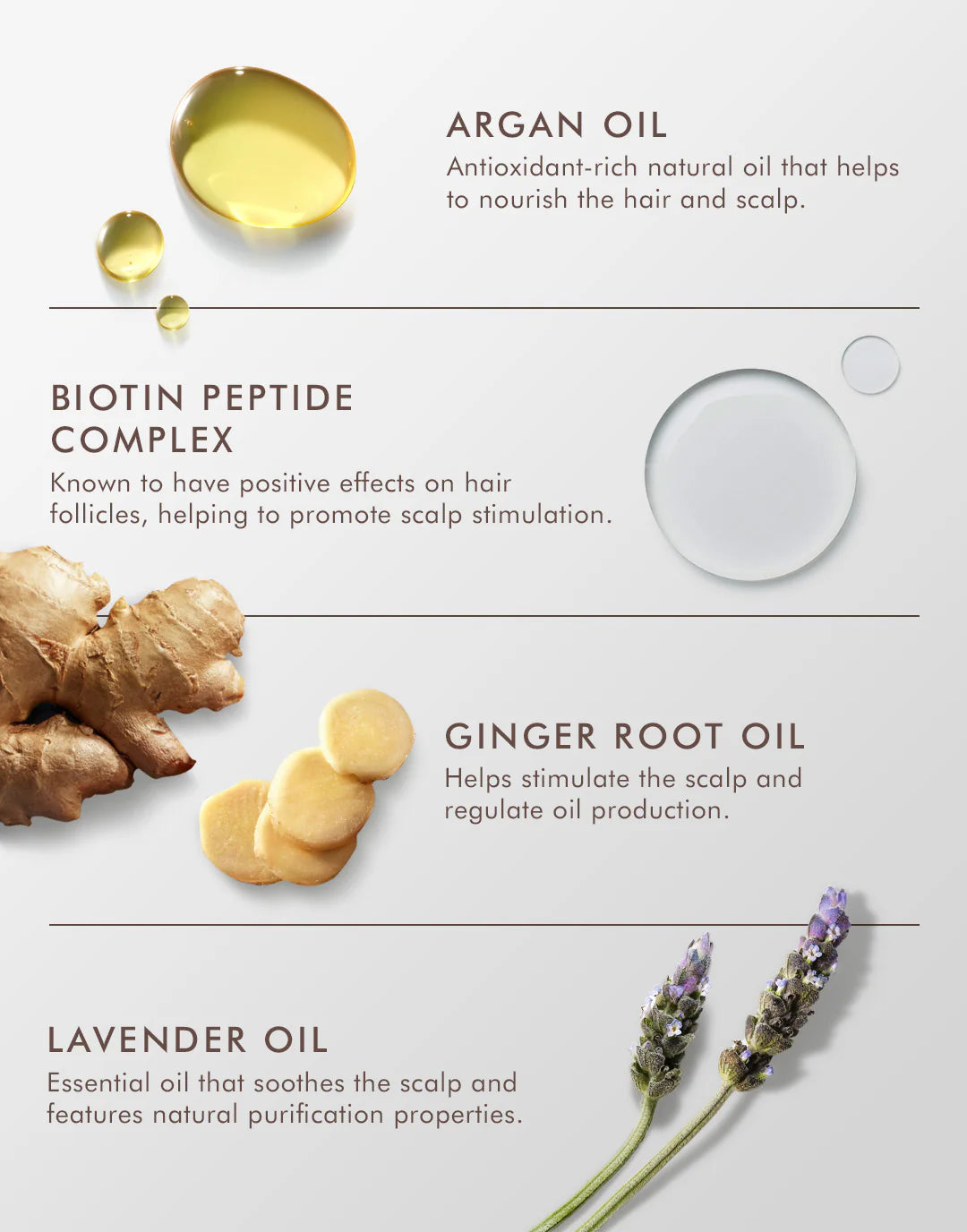 Moroccan Oil Oily Scalp Treatment