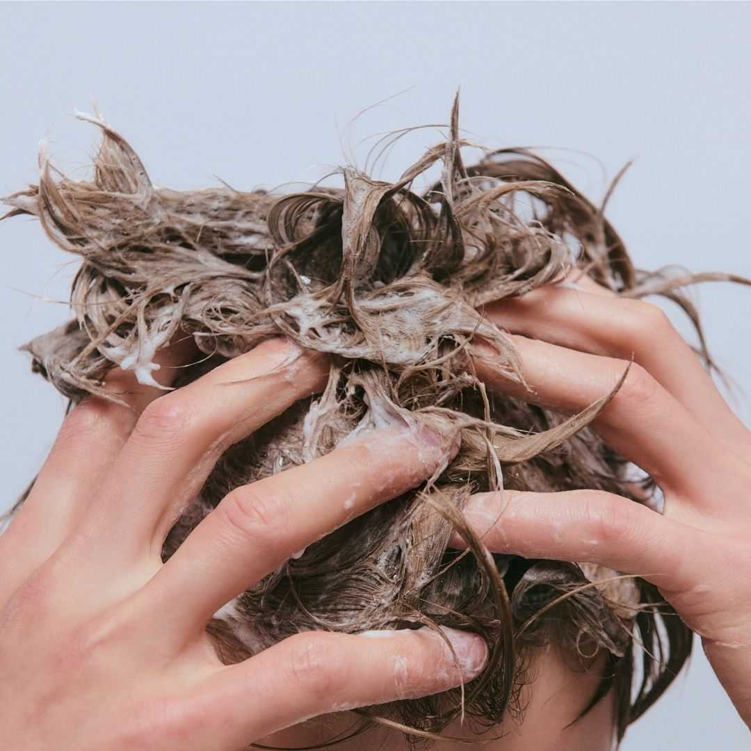 Common ground scalp shampoo