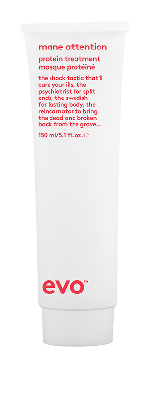 Evo Repair - Mane Attraction Protein Treatment 150ml