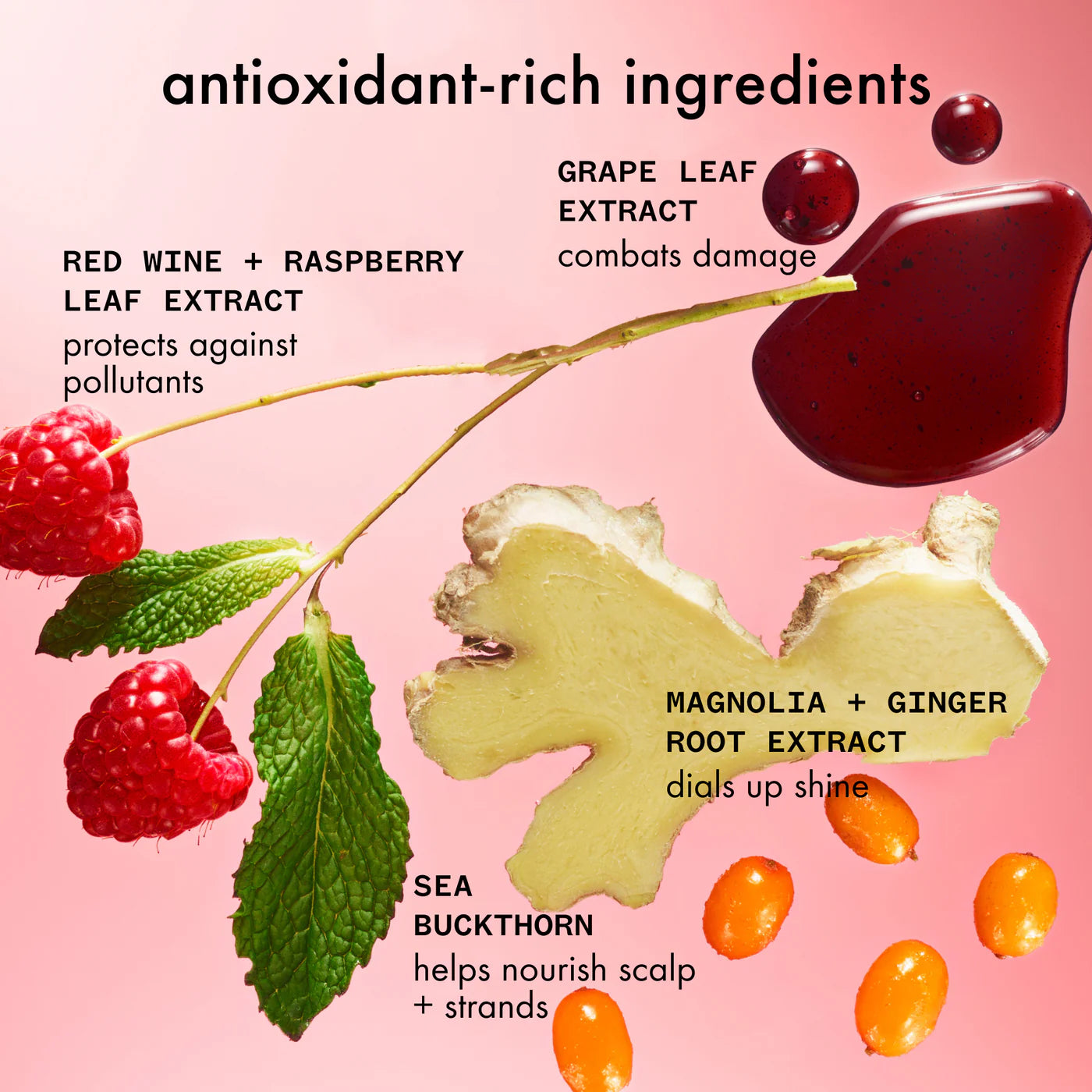 amika: mirrorball conditioner