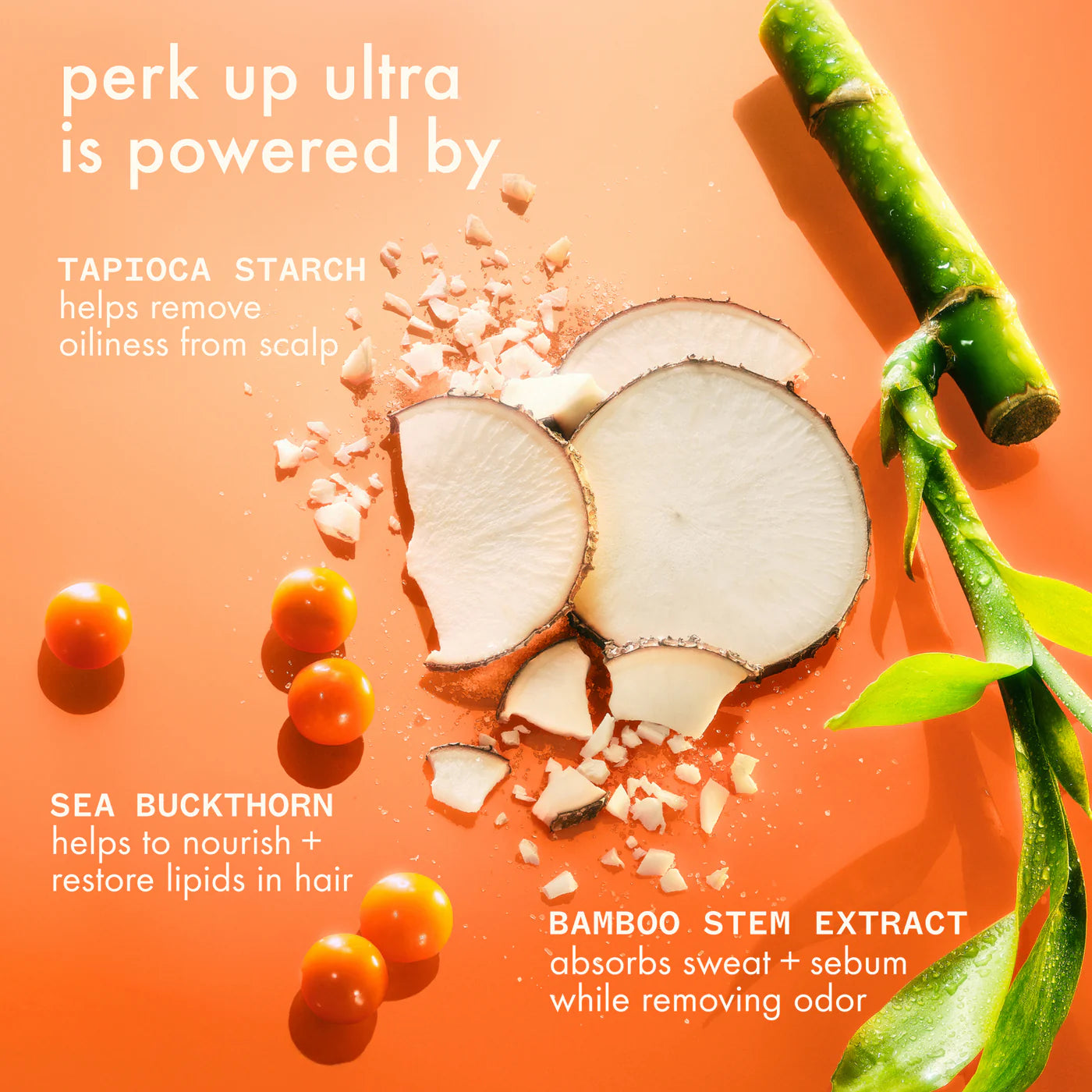 amika: perk up ultra