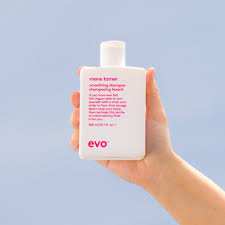 Evo Smooth - Mane Tamer Shampoo