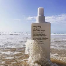 Evo Styling - Salty Dog Salt Spray